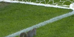 إيقاف
      مباراة
      لأكثر
      من
      ساعة
      بإنجلترا
      لسبب
      غريب
      ومفاجىء - إيجي 24 نيوز