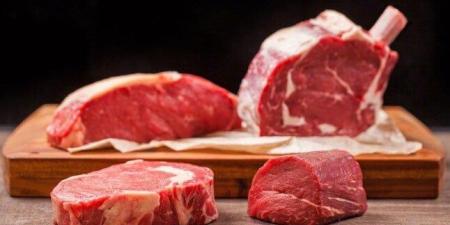 البتلو
بـ
437
جنيهًا..
أسعار
اللحوم
اليوم
الأحد
7
ديسمبر
2025 - إيجي 24 نيوز